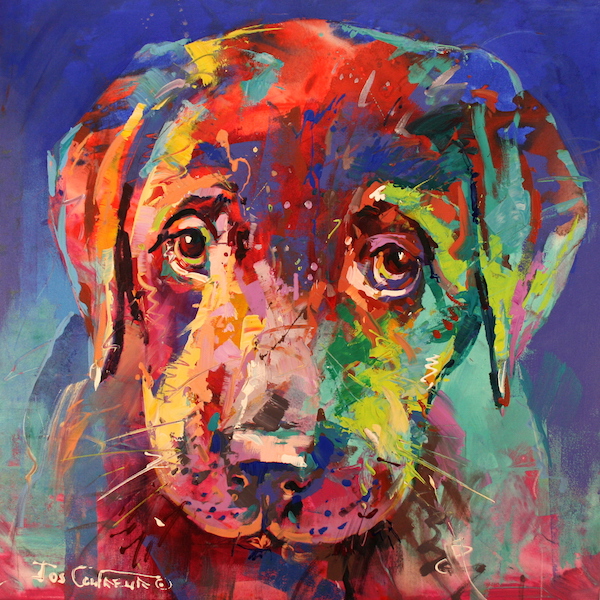 Labrador Puppy II